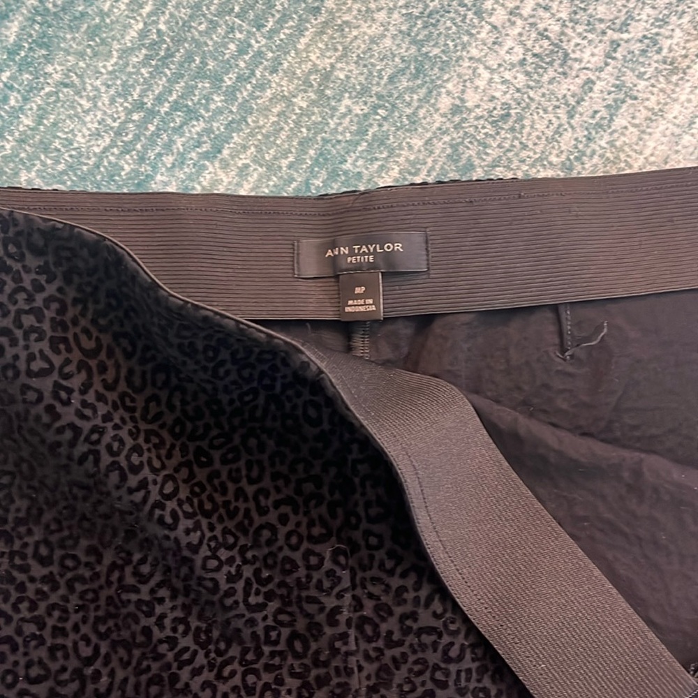 Ann Taylor Petite